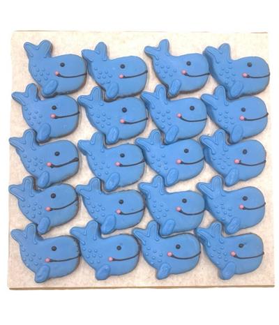 Blue Whales - Tray of 20