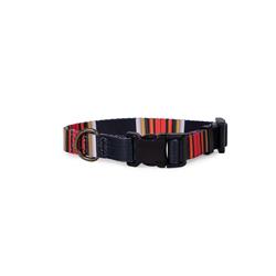 Pendleton National Park Adventure Collar - Acadia
