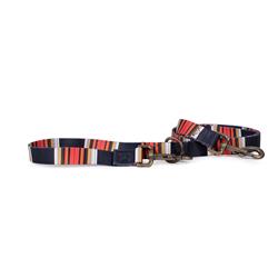 Pendleton National Park Adventure Leash - Acadia