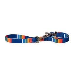 Pendleton National Park Adventure Leash - Crater Lake