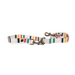 Pendleton National Park Adventure Leash - Glacier