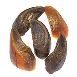 JONES Beef Hooves 10 lb