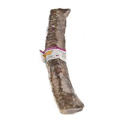 JONES Windees 6inch Shrink Wrapped