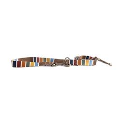 Pendleton National Park Adventure Leash - Joshua Tree