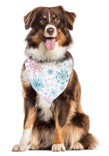 Christmas Bandana |  XMAS Bandana | Holiday Bandana | Snowflakes | Dog Bandana | Winter