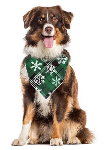 Christmas Bandana |  Green Flannel | Snowflake Dog Bandana | Xmas | Holiday