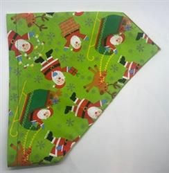 Santa’s Reindeer