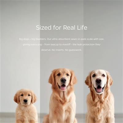 Pet Parents® Belly Bands (2-Pack) + Extendrs® (Natural)