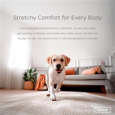 Pet Parents® Belly Bands (2-Pack) + Extendrs® (Natural)