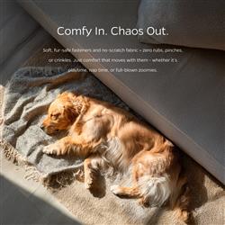 Extra Product Image