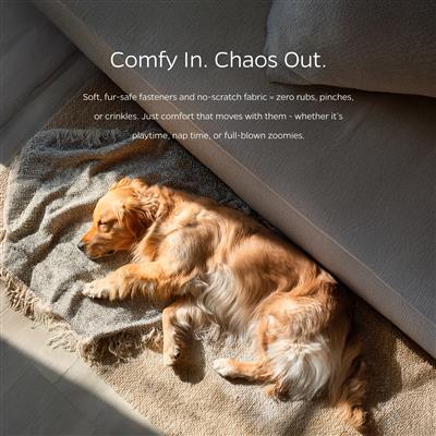 Pet Parents® Belly Bands (2-Pack) + Extendrs® (Gentlemen)