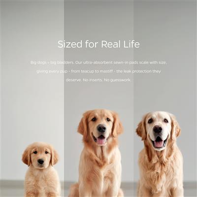 Pet Parents® Dog Diapers (2-Pack) + Extendrs® (Princess)