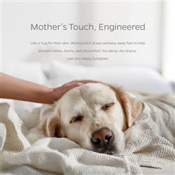 Extra Product Image