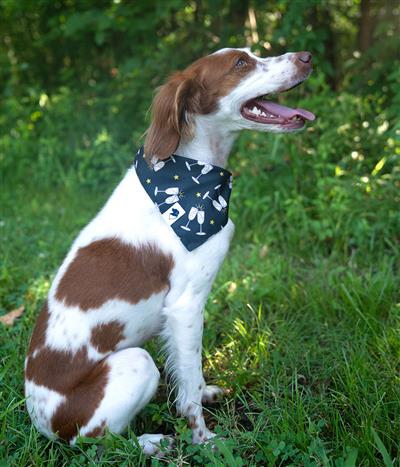 New Years Dog Bandana