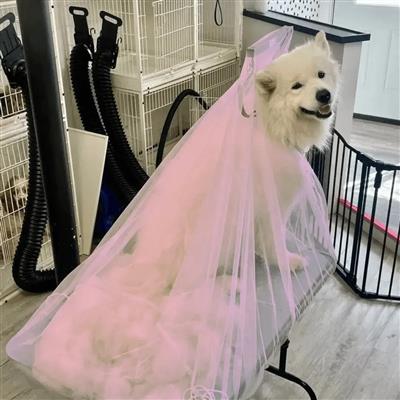 Flying Fur Catcher Bubble Pink by Big Hair Net