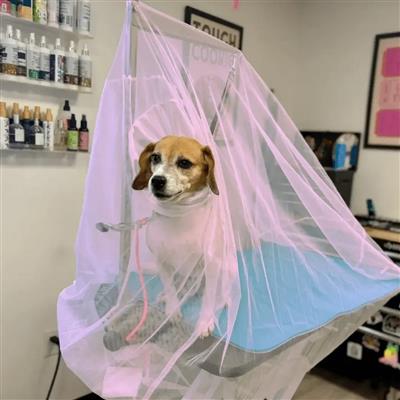 Flying Fur Catcher Bubble Pink by Big Hair Net
