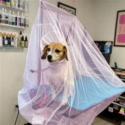Flying Fur Catcher Purple Extra Large by Big Hair Net