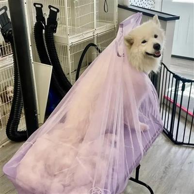 Flying Fur Catcher Purple Extra Large by Big Hair Net