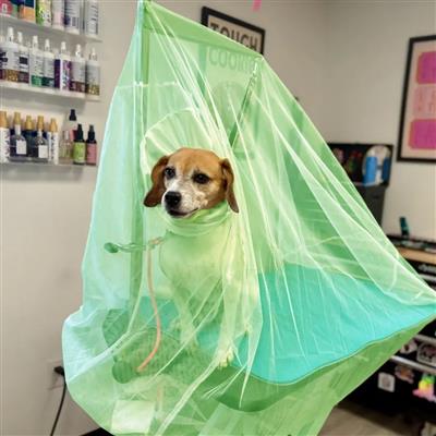 Flying Fur Catcher Green Extra Large by Big Hair Net