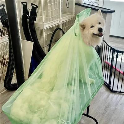 Flying Fur Catcher Green by Big Hair Net