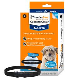 Extra Product Image
