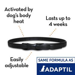 Extra Product Image