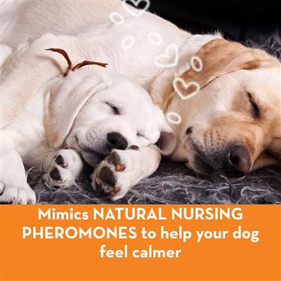 ThunderEase Dog Calming Collar