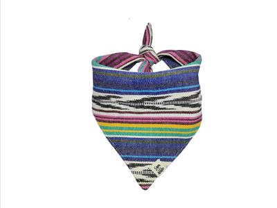 Space Cowboy Dog Bandana