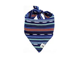 Midnight Train Dog Bandana