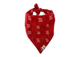 Hot Tamale Dog Bandana