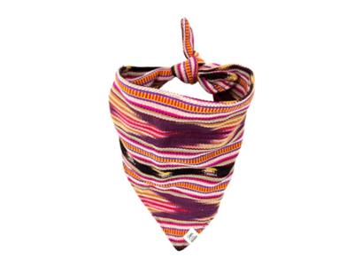 Smokestack Dog Bandana