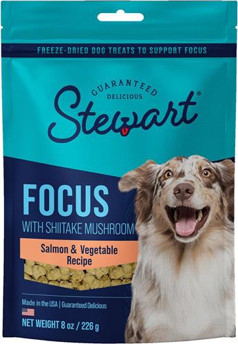 Stewart Freeze Dried Focus Dog Treats Pouch Salmon/Vegetables 8oz.