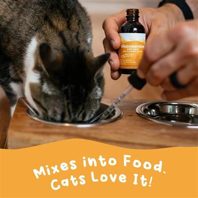 Paramount Pet Health Liquid Cat Glucosamine