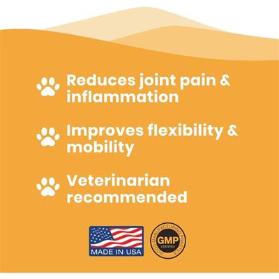 Paramount Pet Health Liquid Cat Glucosamine