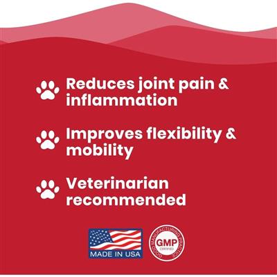 Paramount Pet Health Liquid Hip & Joint for Dogs