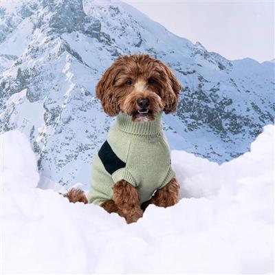 Catalyst Sweater - Green