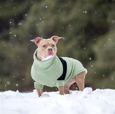 Catalyst Sweater - Green
