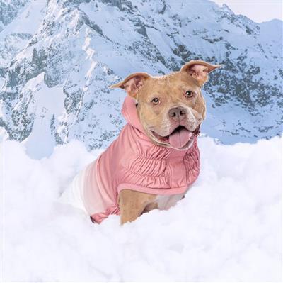 Good Vibes Hoodie - Pink
