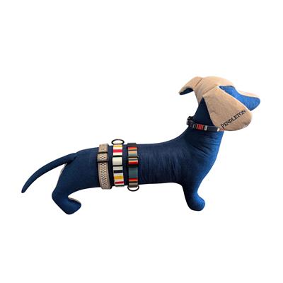 Pendleton Collar + Leash Pre-Pack