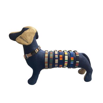 Pendleton Collar + Leash Pre-Pack