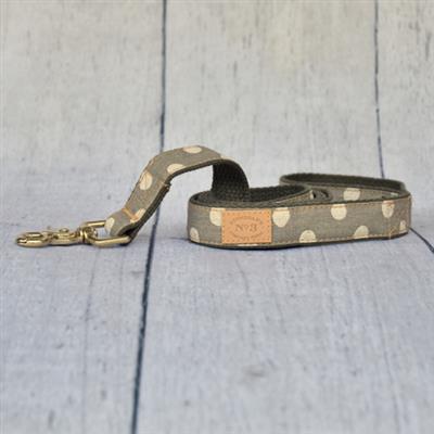 1" Sand Dollar Dots Collar & Lead
