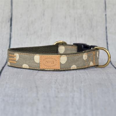 1" Sand Dollar Dots Collar & Lead