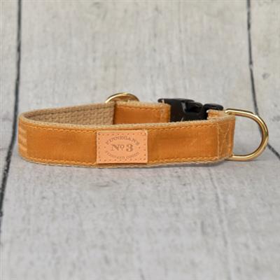 Golden Waxed Collars, Leads, and Harnesses