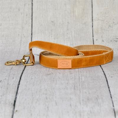 Golden Waxed Collars, Leads, and Harnesses