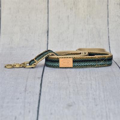 1" Cypress Baja Collar & Lead