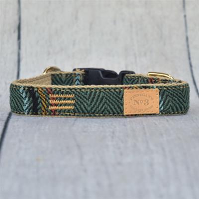 1" Cypress Baja Collar & Lead