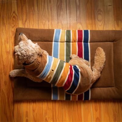 Pendleton National Park Comfort Cushion - Joshua Tree