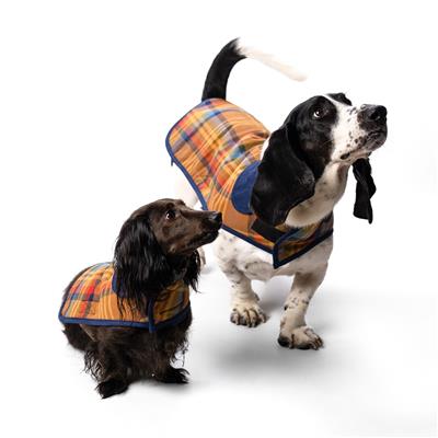 Pendleton Dog Coat - Desert Plaid