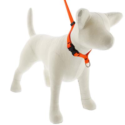 LupinePet® Grooming Loops