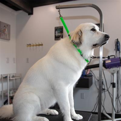 LupinePet® Grooming Loops